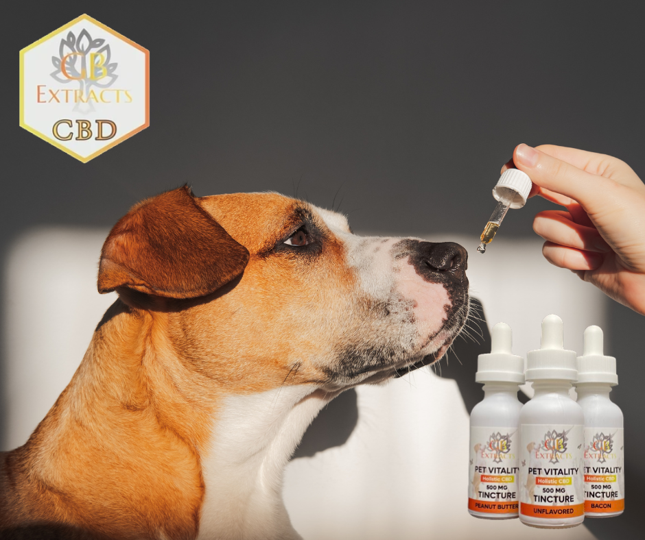 Orange County Pet CBD