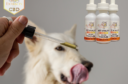 Pet CBD in Orange County