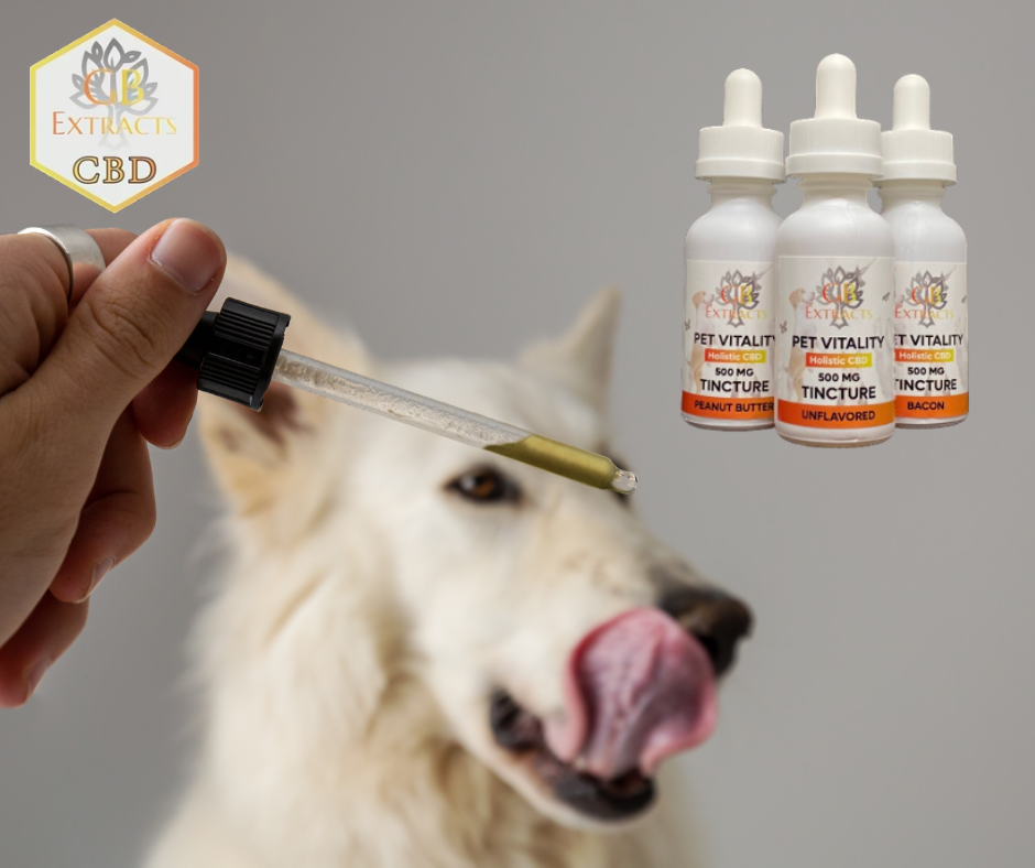 Pet CBD in Orange County